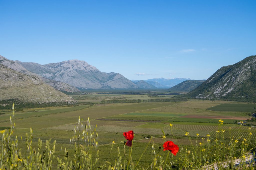 Popovo polje a.d.